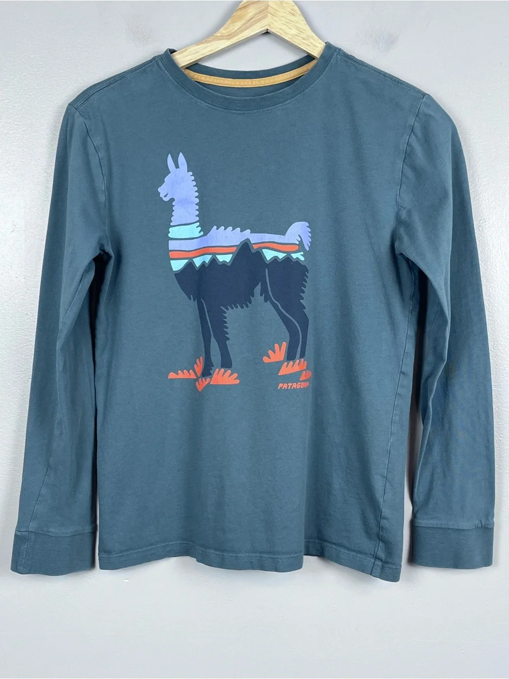Patagonia Boy's 100% Organic Cotton LLama Graphic Print Long Sleeve Tee Size L